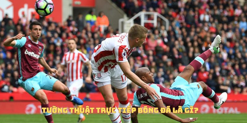 Tường Thuật Trực Tiếp Bóng Đá Là Gì? Vì Sao Ngày Càng Được Ưa Chuộng? 6 Tường thuật trực tiếp bóng đá Socolive