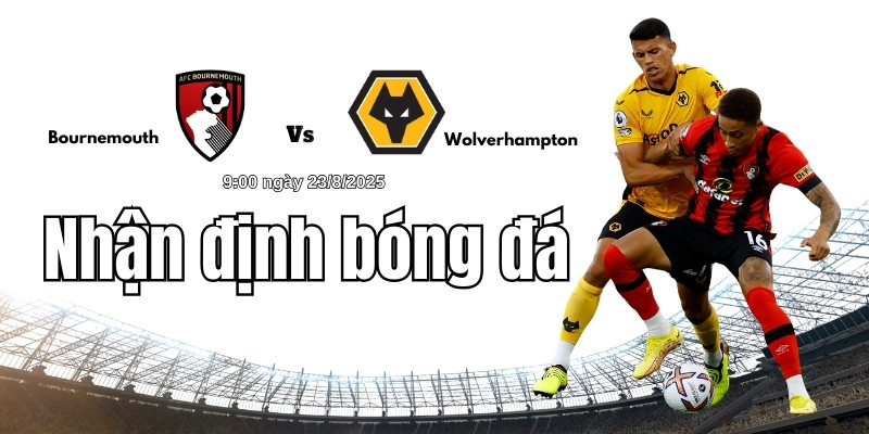 Nhận định bóng đá Bournemouth vs Wolvehampton lúc 9:00 ngày 23/8 4 Nhận định bóng đá Bournemouth vs Wolvehampton lúc 9:00 ngày 23/8